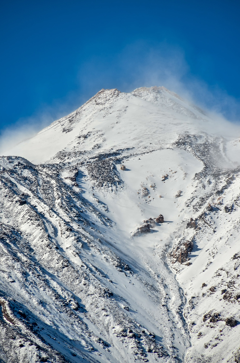 Tenerife tours and activities